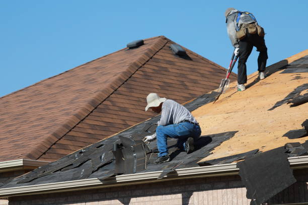 Best Roof Installation  in Blaine, TN